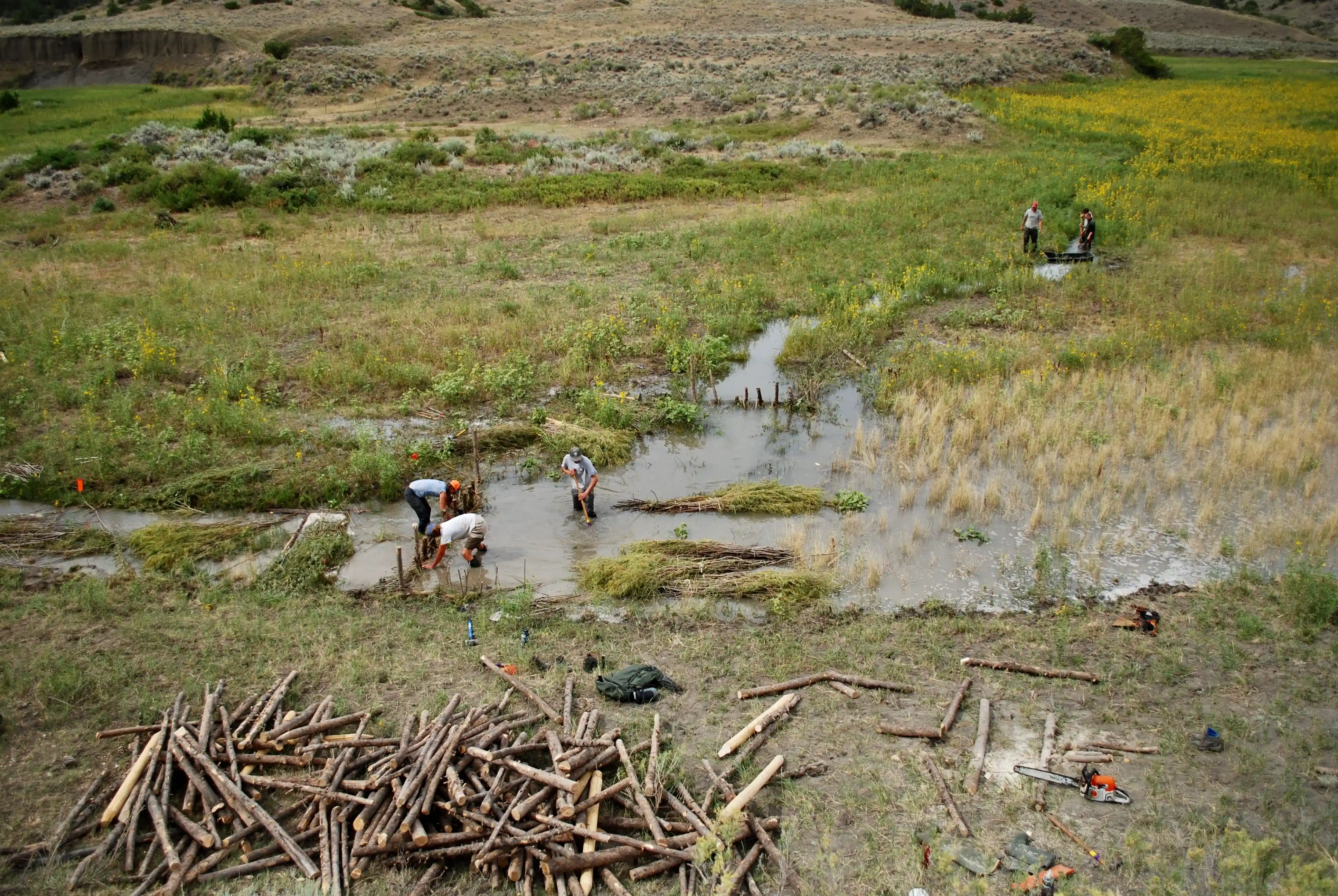 Conservation imagery 3