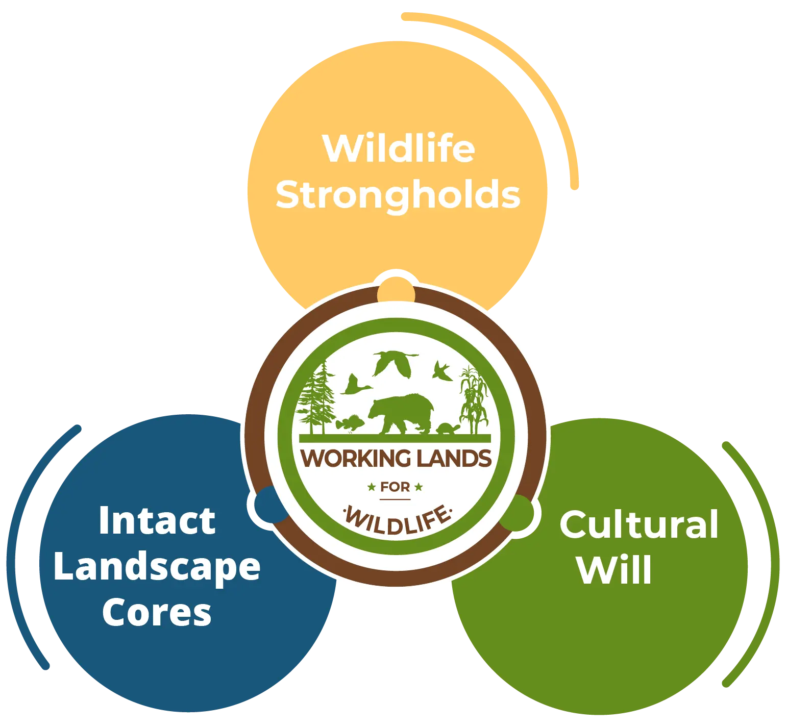 Working Lands for Wildlife approach diagram
