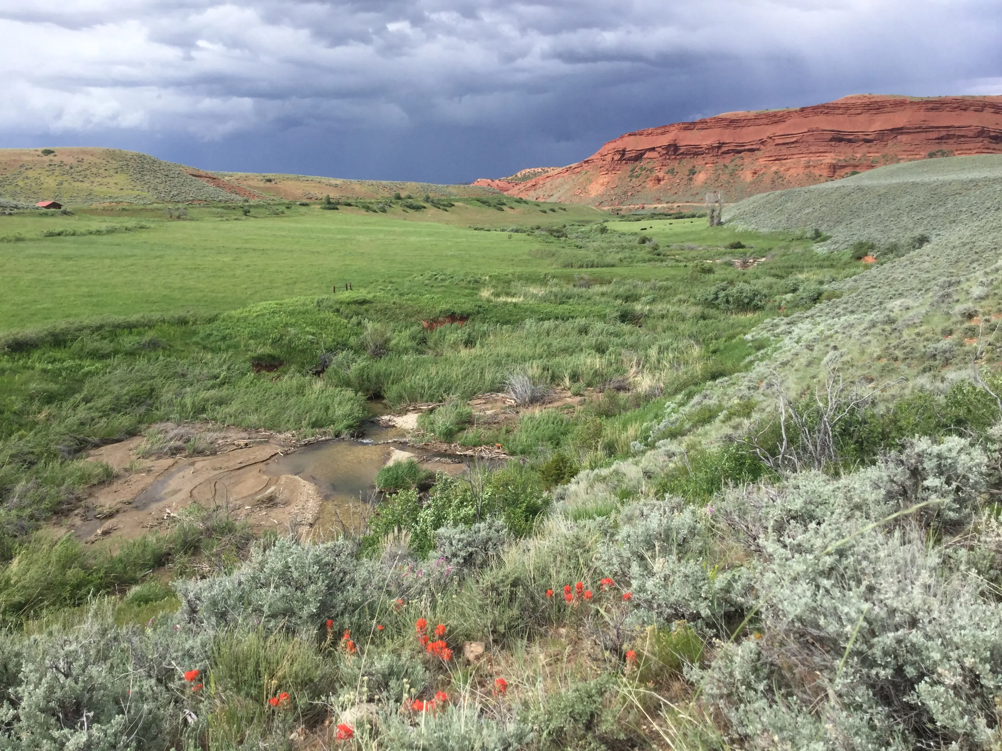 Groundwater-fed valley bottom with productive green vegetation