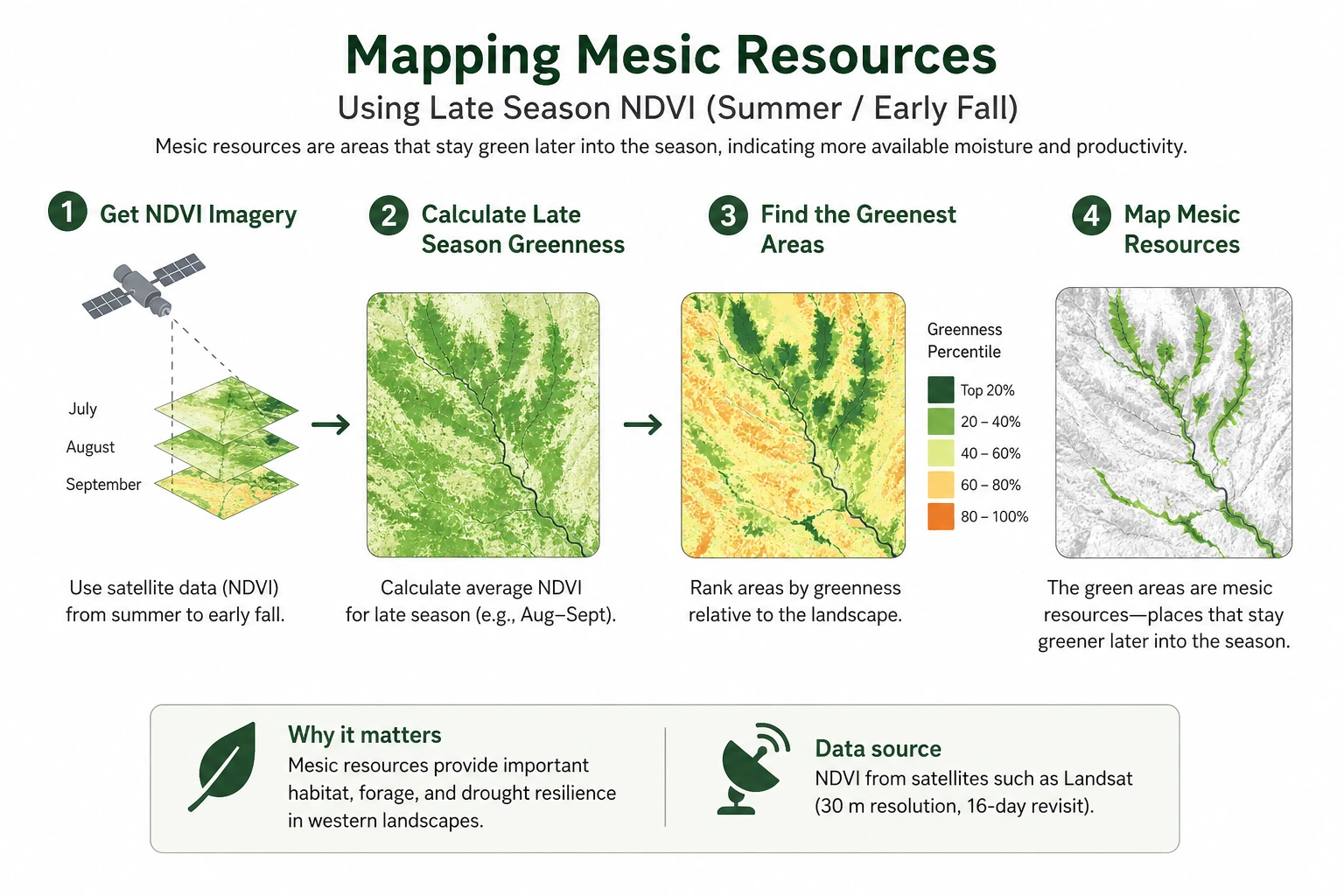 Landsat NDVI and vegetation persistence: mesic areas stay green longer through summer and fall than the surrounding dry landscape.
