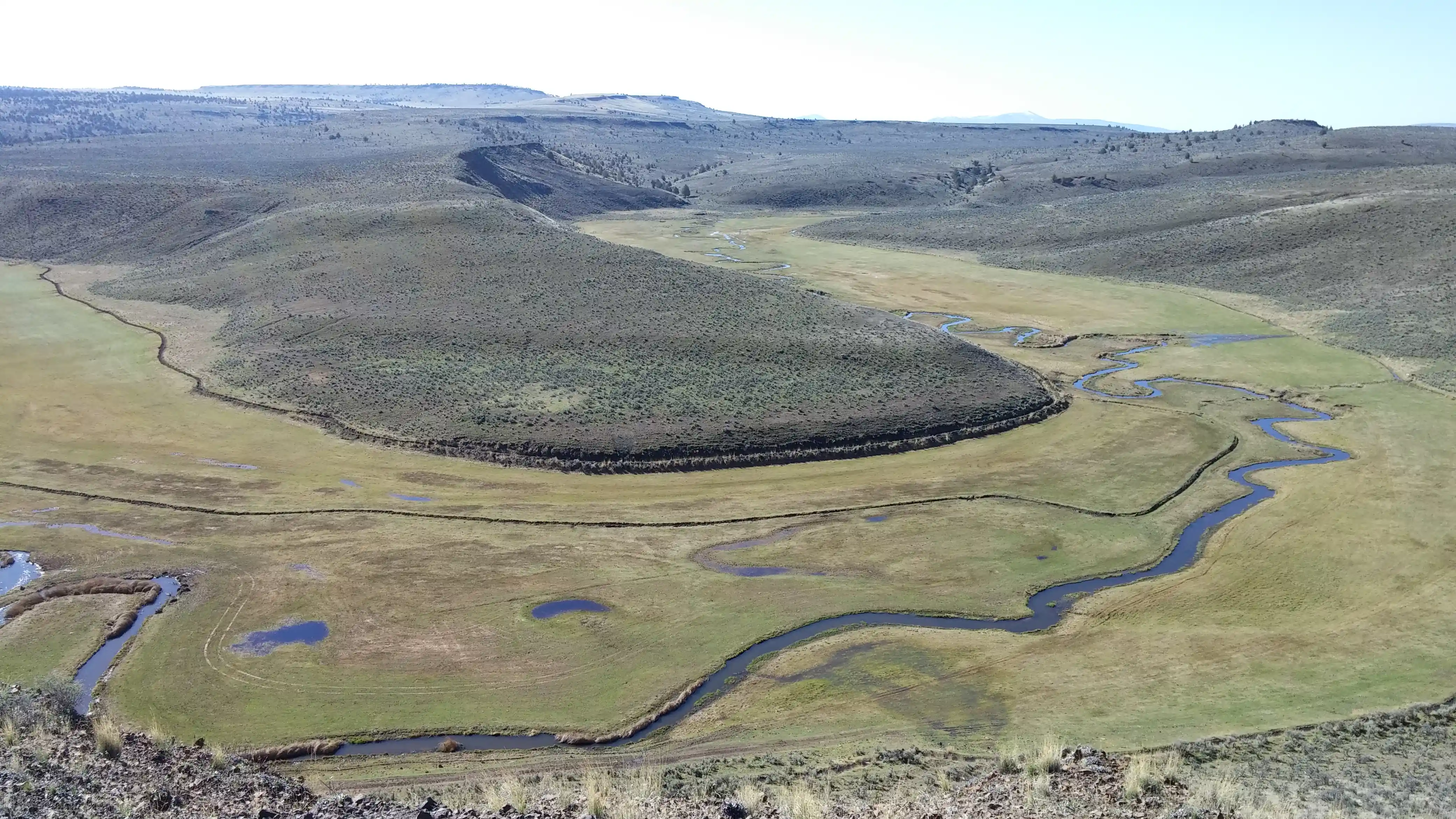 Wet meadow holding green forage late into the dry season